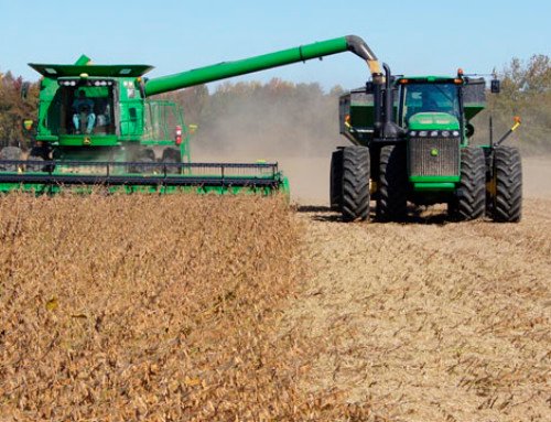 Marketing digital para o agronegócio: saiba como começar