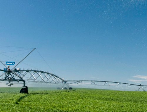 O que você precisa saber para começar um e-commerce voltado ao agronegócio